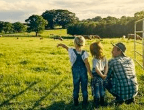 Basic farm entitlements and your will